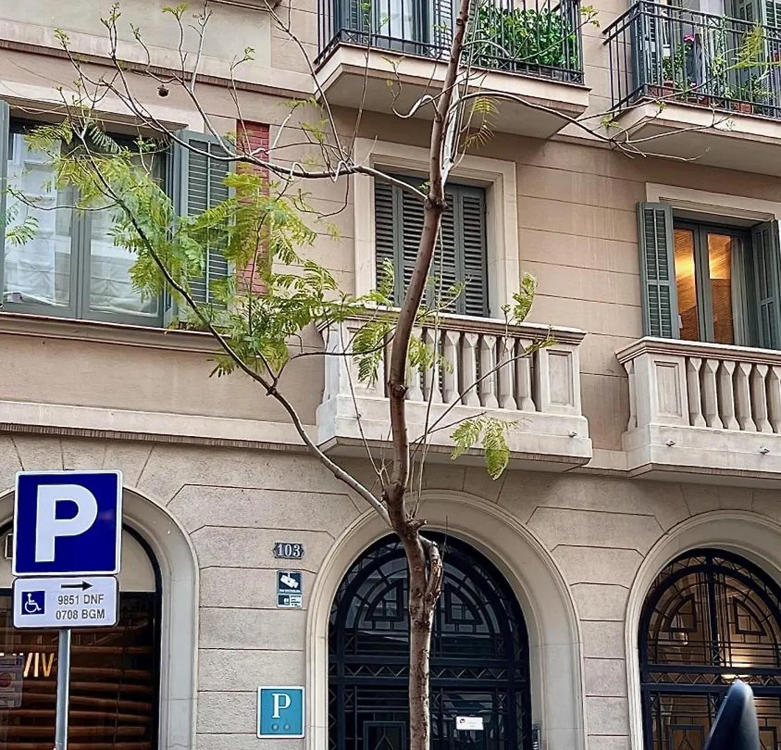 Guest house Hostal Madrazo Barcelona